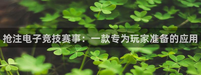 ky电竞