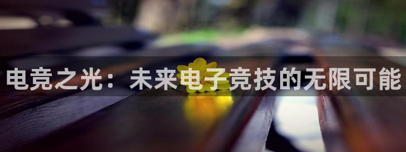 ky电竞