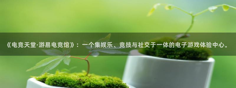ky开元电竞