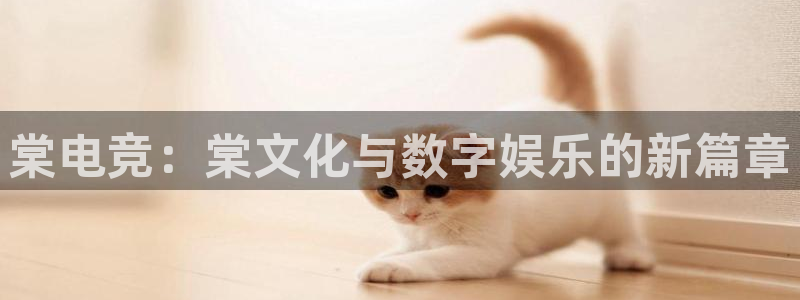 ky开元电竞