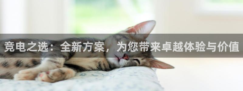 ky电竞