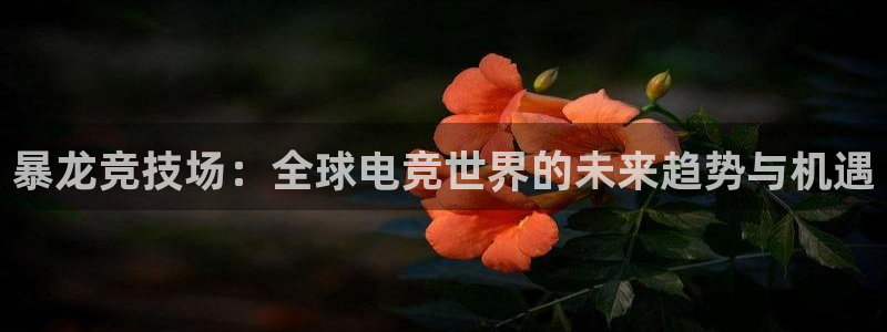 ky开元电竞