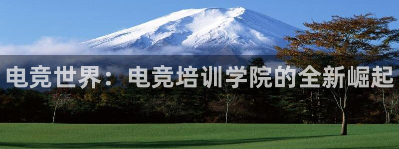 ky开元电竞